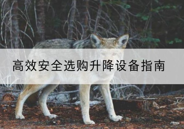 越城升降货梯厂家推荐-*安全选购升降设备指南