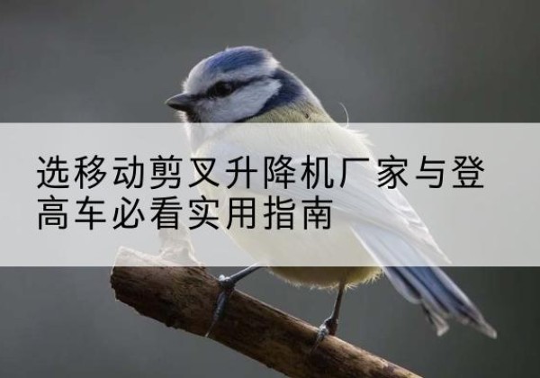 越城电动升降机厂家-选移动剪叉升降机厂家与登高车必看实用指南