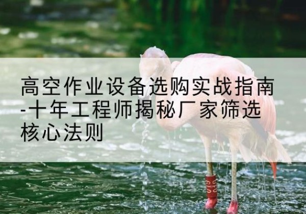 越城剪叉式升降机厂家-高空作业设备选购实战指南-十年工程师揭秘厂家筛选核心法则